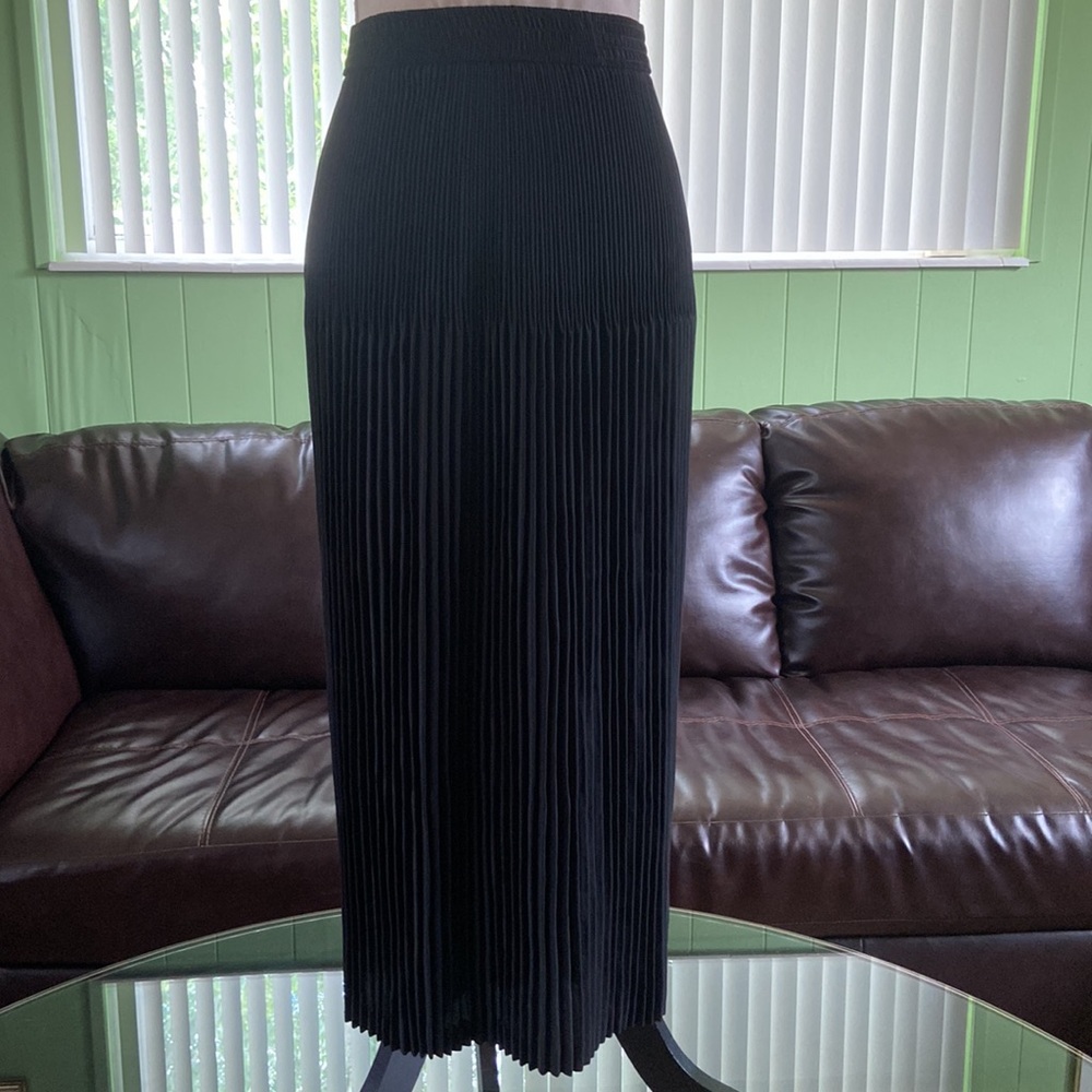 Vtg Accordion style skirt